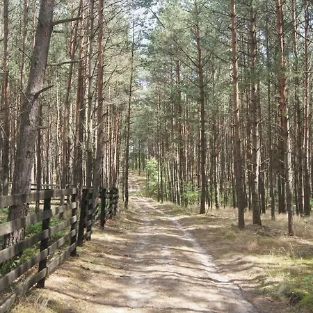 Dom Nad Jeziorem W Borach Tucholskich Osiek (Pomerania)