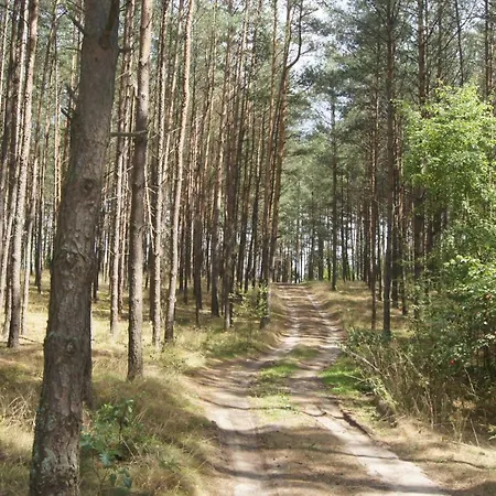 Dom Nad Jeziorem W Borach Tucholskich Osiek (Pomerania)
