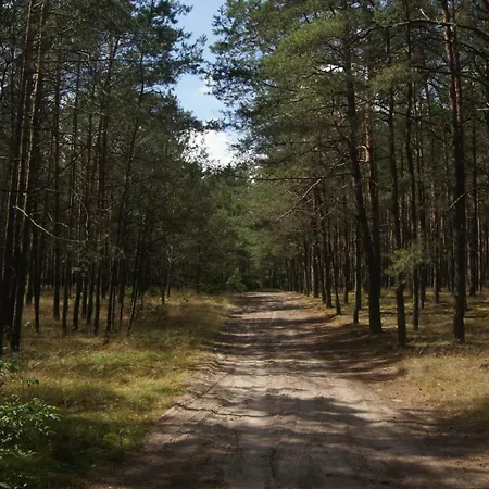 Dom Nad Jeziorem W Borach Tucholskich Osiek (Pomerania)