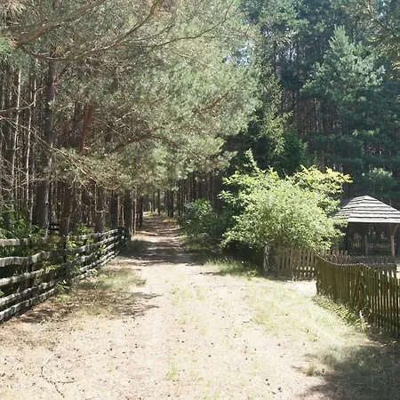 Lodge Dom Nad Jeziorem W Borach Tucholskich *