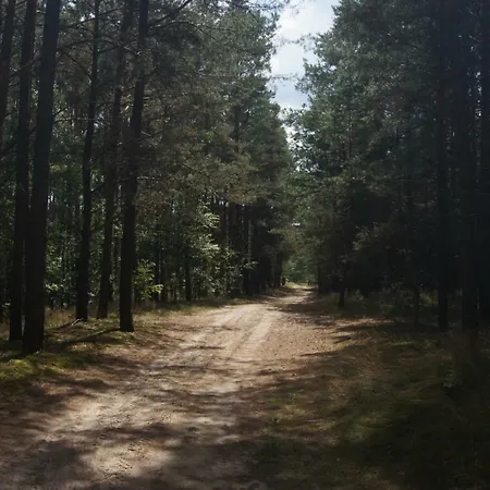 Dom Nad Jeziorem W Borach Tucholskich *