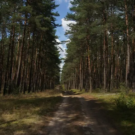 Dom Nad Jeziorem W Borach Tucholskich Osiek (Pomerania)