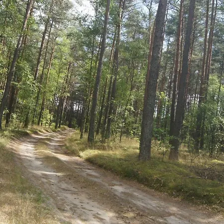 Dom Nad Jeziorem W Borach Tucholskich Lodge *